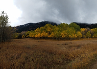 2025-01-17/8fc91e4d-090c-4d68-ade4-bf18fa350dd7