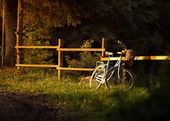 2025-01-17/b4a4f6ed-951d-4164-82b2-726290e7b36e