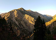 2025-01-17/ffff320f-bbee-4b64-8556-dd868a88fec5