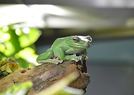 2025-01-18/aa6fbe6b-24f8-4e54-a484-e864ed55a281