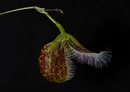 2025-01-21/2d0f2c50-9628-49a4-8c51-f116e2f17f66