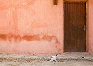 2025-01-22/2603aac3-d030-4d14-8af6-a59a929b9e33