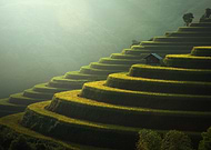 2025-01-24/0b398ae8-318b-406f-b3ea-d11ee633fb3f