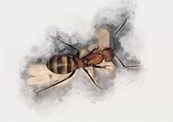 2025-01-24/291942ba-e5b5-4377-a391-f5cc04160cbb