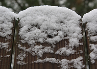 2025-01-24/4ea3c28c-8e85-409f-8d0c-8b83bacf2399