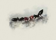 2025-01-24/985d460a-68aa-4878-9d00-fc575b12e8fd