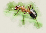 2025-01-24/d4dbdf34-2a2c-49b8-a24e-66421b0fbc23