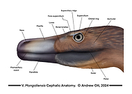 2025-01-25/3aad037a-dcda-41ef-bc5d-b051bb221d90