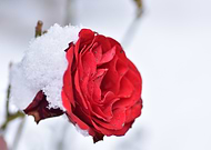 2025-01-25/8ddc55fa-8c18-4819-8ff5-f5552126ec2c