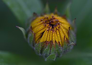 2025-01-25/ce9a4585-2d4e-44bc-9374-41a811dd22ab