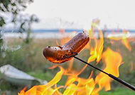 2025-01-25/e2524a10-9215-4a92-aa06-9375a34ee556