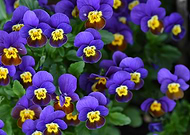 2025-01-26/6b84b0da-986d-448b-8380-0ce5113eb35d