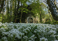 2025-01-30/b5ba0ae4-5059-4342-acb8-427e1a1a4d8a