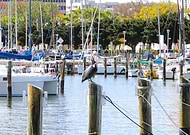 2025-01-30/da740c32-f87a-456d-9a70-eb662c568a8e