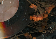 2025-01-31/a29a13b1-32d6-4220-94bc-328a799c9970