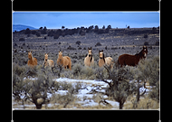 2025-02-01/6e2f29c8-b933-4e39-b130-e4a7af0bf7dd