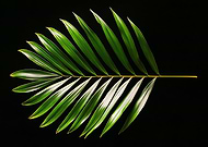 2025-02-01/d5c3317e-ea99-409c-b316-8bd24372ef83