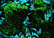 2025-02-01/eb36ff19-c55a-4618-a452-d0f93487d0c0