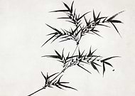 2025-02-02/22853614-06aa-4b4a-bd58-38643f5bb946