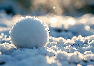 2025-02-02/9f7dec12-80fd-4fc4-a816-65f4f91c5fb0