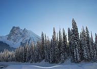 2025-02-04/80346f30-8623-472f-a357-6c4467acadd3