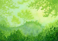 2025-02-05/37dc6107-fa6d-4290-9418-470e8cc1a1a3