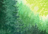 2025-02-05/3823d4d2-9608-4e04-ade7-0d52c9b9345a