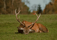 2025-02-06/3d4df48f-66d2-4f0c-9f26-9f97142c011e