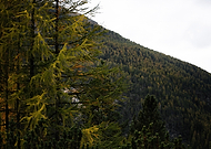 2025-02-10/37b564fa-964f-40d2-a4c7-1f4599b91c27