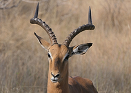 2025-02-10/5bc7a23c-b410-48b1-bb3e-1d06612822c3