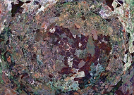 2025-02-11/07d077de-d244-4c11-b52a-7d4793eb3518