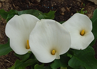 2025-02-12/30517d69-fb11-4510-85d9-723150c1a934