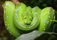 2025-02-12/930f2186-1058-4aeb-a7a8-3537c49ff642