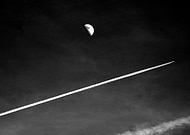 2025-02-13/1242413a-be74-437d-9278-359460fe5001