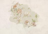 2025-02-13/276c1c9b-e651-48f9-adc7-b9312a1e4de0