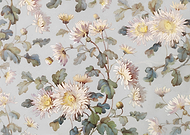 2025-02-13/ff5d498c-b3da-45cb-9661-e7afb6d4b609