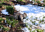 2025-02-20/593514fc-2aa8-4167-b698-179b90d397c2