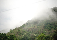 2025-02-20/d4bfe64b-272f-435a-abfc-8b07ca3602c2