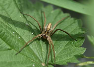 2025-02-21/5a86da2d-91d8-4a82-a917-f58ee6cb6d14