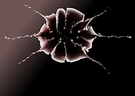 2025-02-21/6add5976-4a13-4788-a635-6adc38d2ef2d