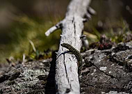 2025-02-24/195e35b1-3e59-41d2-9228-ae7adb87800c