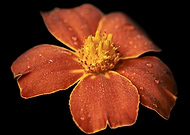 2025-02-24/69370701-3417-4408-9abb-9213dfa82d87