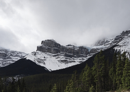 2025-02-24/f1471a12-d059-49e7-af06-9abd70ac06eb