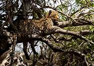 2025-03-01/5af1ab79-dcfa-4a3e-9005-c8c32c45dbfe