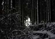 2025-03-01/d7d2ccd3-4de2-4a63-a7a9-cd16ca1c4974