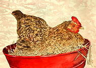 2025-03-05/c0505251-938d-42ce-9675-1030118cecb5