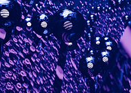 2025-03-07/634c01bc-6342-47ad-ae56-76eb1724f2d4