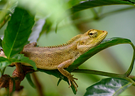 2025-03-07/c7a7e3c6-9cd7-40c3-ab3c-5f72670c91fe