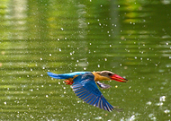 2025-03-07/f308b493-a56c-4268-af38-840141db2a8b