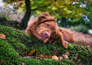 2025-03-09/f2c97f0a-4a71-49d6-ba44-fe1528207782